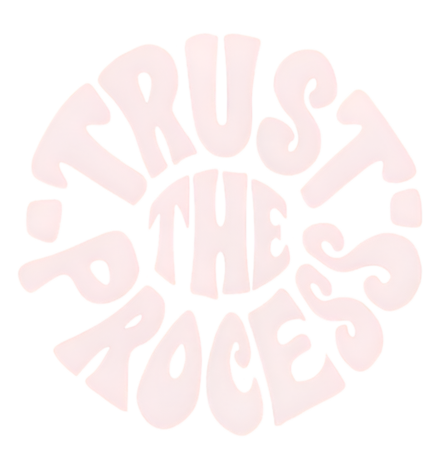 Trust The Process regular t-shirt